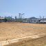  Land for sale in Thalang, Phuket, Si Sunthon, Thalang