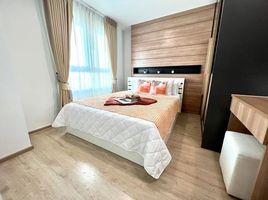 1 Schlafzimmer Wohnung zu vermieten im Rich Park at Chaophraya, Sai Ma