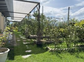  Land for sale in San Kamphaeng Chiang Mai, Buak Khang, San Kamphaeng, Chiang Mai, Thailand