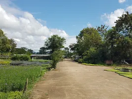  Grundstück zu verkaufen in San Sai, Chiang Mai, Pa Phai