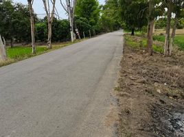  Land for sale in Chiang Mai, Buak Khang, San Kamphaeng, Chiang Mai