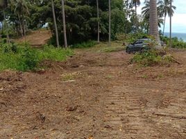  Grundstück zu verkaufen in Koh Samui, Surat Thani, Lipa Noi