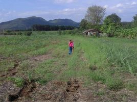  Land for sale in Loei, Si Songkhram, Wang Saphung, Loei