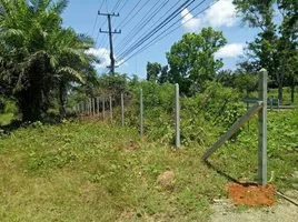  Land for sale in Na Kratam, Tha Sae, Na Kratam