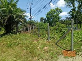  Land for sale in Tha Sae, Chumphon, Na Kratam, Tha Sae