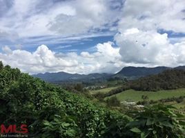  Land for sale in Colombia, La Ceja, Antioquia, Colombia
