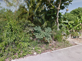  Land for sale in Samut Songkhram, Amphawa, Amphawa, Samut Songkhram