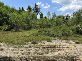  Grundstück zu verkaufen in Mueang Narathiwat, Narathiwat, Khok Khian