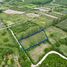  Land for sale in Ratchaburi, Suan Phueng, Ratchaburi