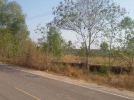  Land for sale in Khon Kaen, Muang Wan, Nam Phong, Khon Kaen
