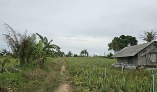 N/A Land for sale in Thap Tai, Hua Hin 