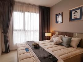 1 Schlafzimmer Wohnung zu verkaufen im Life Sukhumvit 48, Phra Khanong