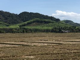 ขายที่ดิน ใน เกาะยาว พังงา, เกาะยาวน้อย