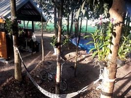  Grundstück zu verkaufen in Bang Nam Priao, Chachoengsao, Bang Khanak, Bang Nam Priao