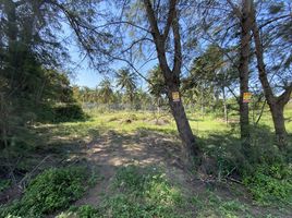  Land for sale in Bang Saphan, Prachuap Khiri Khan, Mae Ramphueng, Bang Saphan