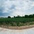  Land for sale in Mueang Nakhon Ratchasima Nakhon Ratchasima, Suranari, Mueang Nakhon Ratchasima, Nakhon Ratchasima