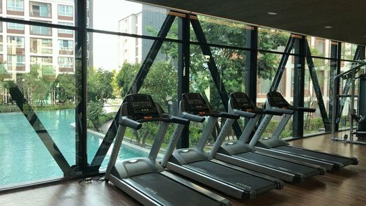 รูปถ่าย 1 of the Communal Gym at ดีคอนโดพิงค์