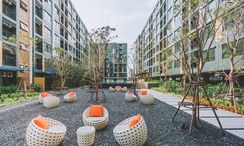 图片 2 of the 公共花园区 at iCondo Green Space Sukhumvit 77 Phase 1