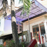 ขายที่ดิน ใน ป่าตอง, ภูเก็ต, ป่าตอง