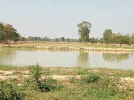  Land for sale in Suphan Buri, Don Chedi, Don Chedi, Suphan Buri