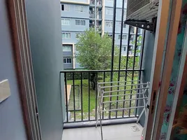 1 Schlafzimmer Wohnung zu verkaufen im D Condo Kathu, Kathu, Kathu, Phuket, Thailand