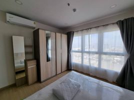 1 Bedroom Condo for rent at Supalai Veranda Ramkhamhaeng, Hua Mak, Bang Kapi, Bangkok
