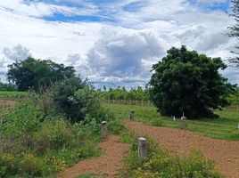  Land for sale in Nong Pradu, Lao Khwan, Nong Pradu