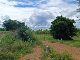  Grundstück zu verkaufen in Lao Khwan, Kanchanaburi, Nong Pradu, Lao Khwan, Kanchanaburi