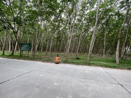  Grundstück zu verkaufen in Ban Khai, Rayong, Nong Lalok, Ban Khai