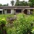 3 Bedroom Villa for sale in Laos, Sisattanak, Vientiane, Laos