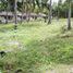  Land for sale in Lipa Noi Beach, Lipa Noi, Lipa Noi