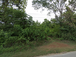  Land for sale in Lampang, Pong Yang Khok, Hang Chat, Lampang