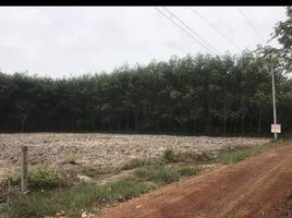  Land for sale in Nakhon Phanom, Tha Uthen, Tha Uthen, Nakhon Phanom