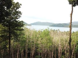  Grundstück zu verkaufen in Ko Chang, Trat, Ko Chang Tai