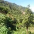  Land for sale in Tuba, Cordillera, Tuba, Benguet