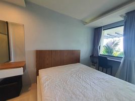 Studio Condo for rent at At The Tree Condominium, Rawai, Phuket Town