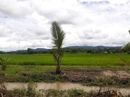  Земельный участок for sale in Bua Sali, Mae Lao, Bua Sali