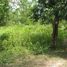  Land for sale in Sikhottabong, Vientiane, Sikhottabong