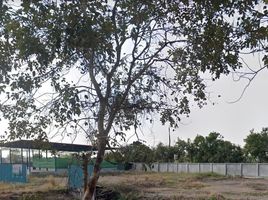  Land for sale in Pathum Thani, Chiang Rak Yai, Sam Khok, Pathum Thani