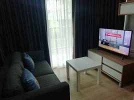 1 Bedroom Apartment for sale at Baan Khao Yai, Mu Si, Pak Chong