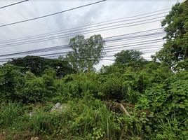  Land for sale in Mueang Phitsanulok, Phitsanulok, Wat Chan, Mueang Phitsanulok