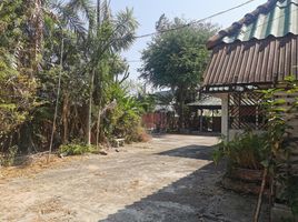  Grundstück zu verkaufen in San Sai, Chiang Mai, Pa Phai, San Sai