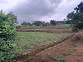  Grundstück zu verkaufen in Hojancha, Guanacaste, Hojancha, Guanacaste, Costa Rica