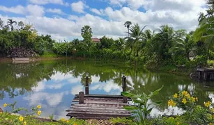 2 chambres Villa a vendre à Thep Krasattri, Phuket Phuket-Thaihouse