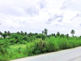  Land for sale in Si Racha, Chon Buri, Nong Kham, Si Racha