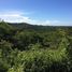  Land for sale in Guanacaste, Santa Cruz, Guanacaste