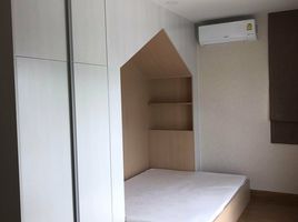 4 Schlafzimmer Haus zu verkaufen im Centro Bangna-Wongwaen, Dokmai, Prawet, Bangkok