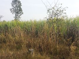  Grundstück zu verkaufen in Kuchinarai, Kalasin, Bua Khao, Kuchinarai, Kalasin