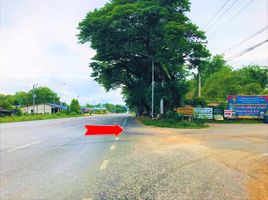  Land for sale in Mueang Kanchanaburi, Kanchanaburi, Wang Dong, Mueang Kanchanaburi