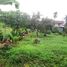  Land for sale in Lom Sak, Phetchabun, Bung Namtao, Lom Sak